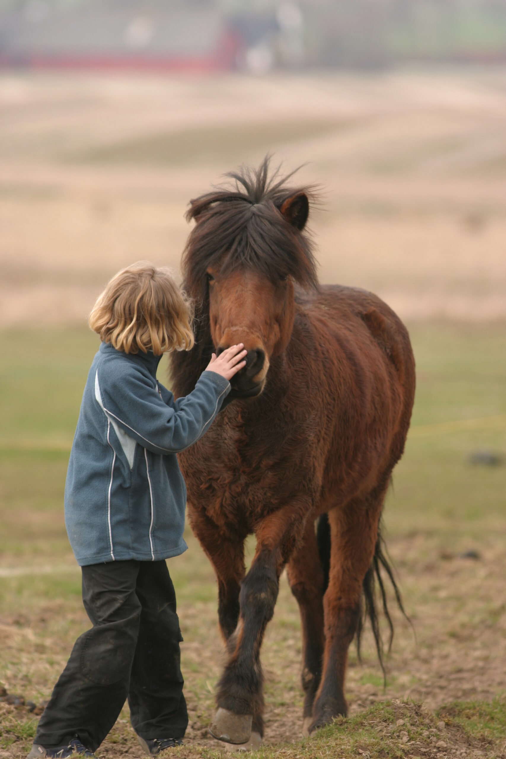 Horseback riding, first encounter